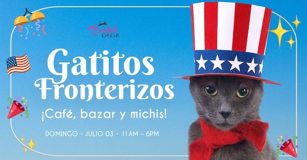 Gatitos Fronterizos | Café, Bazar y Michis