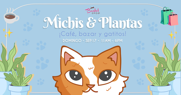 Café, Bazar y Gatitos