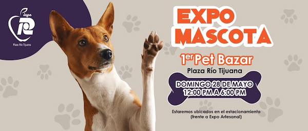 Expo Mascota 1er Pet Bazar