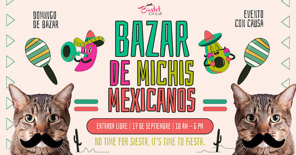 bazar michis mexicanos
